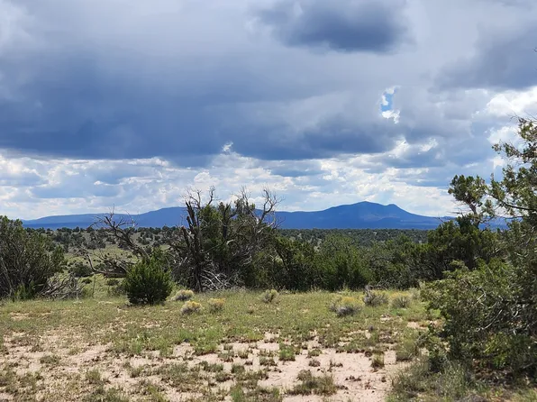 87 Warpath Rd, Quemado, NM 87829