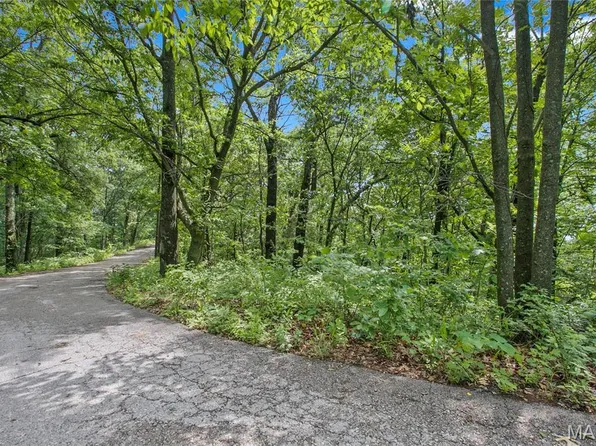 Clermont Dr, Festus, MO 63028