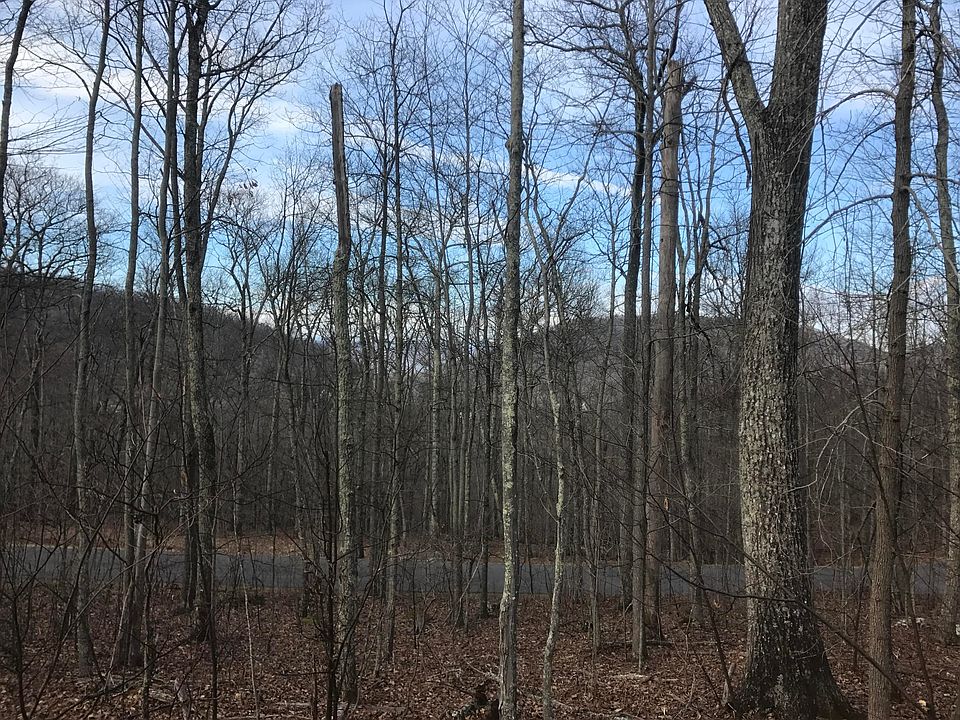 1st image of 55 N Forest Trl
