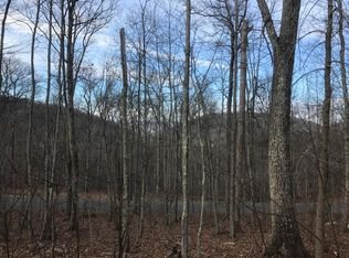 55 N Forest Trl, Hot Springs, VA 24445
