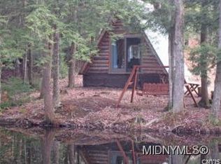 0 89ac Gottung Rd, Fort Plain, NY 13339