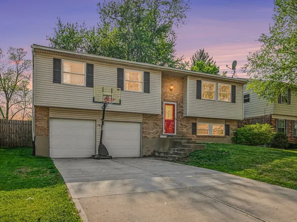 1135 Chestnut Ct, Independence, KY 41051