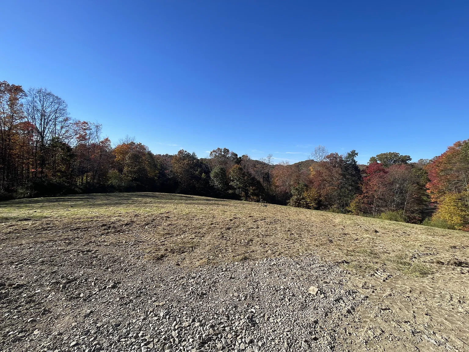777 Beechview Road - 1 — Photo 4