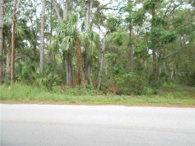 206 Rose St, Umatilla, FL, 32784
