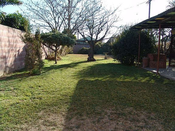 Backyard taken from back of house