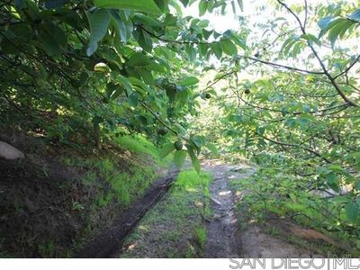 0 Harris Truck Trl LOT 1, Fallbrook, CA, 92028