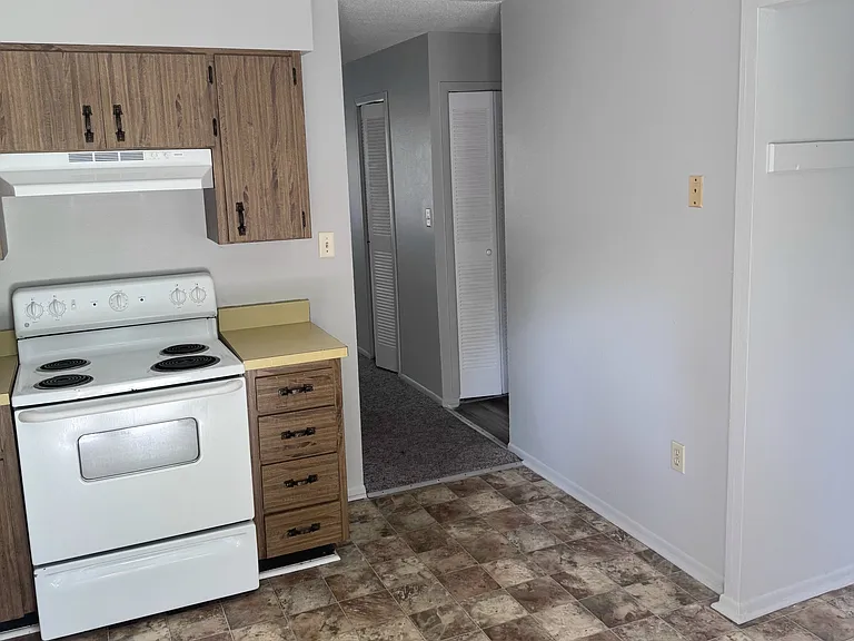 217 W Polk St #3 — Photo 4