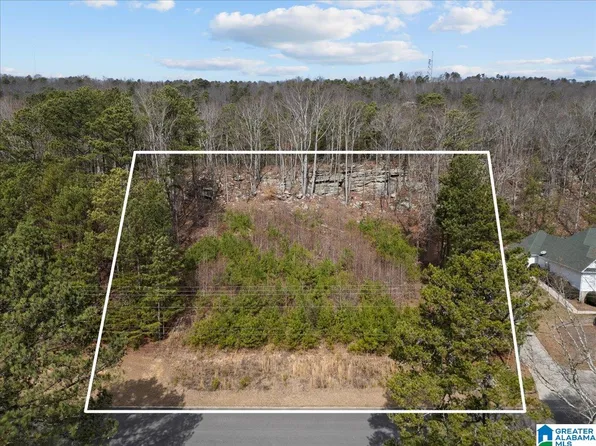 0 Heritage Rd #1, Oneonta, AL 35121