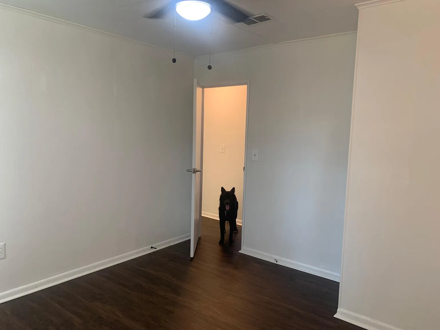 2620 Village Green Ln — Photo 4