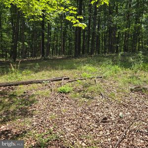 Lots 24 25 Ashley Ct, Shanks, WV, 26761