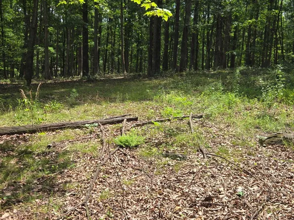 Lots 24 25 Ashley Ct, Shanks, WV 26761