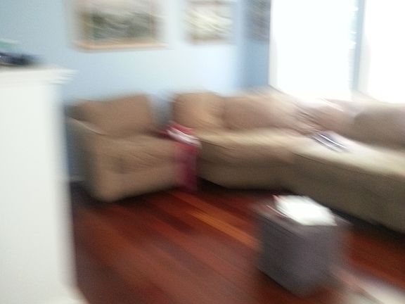 Hardwood Living Room