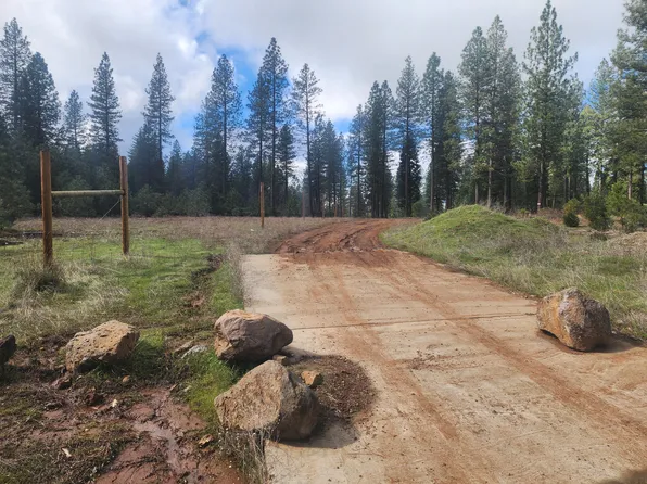 Waterleaf Ln, Shingletown, CA 96088