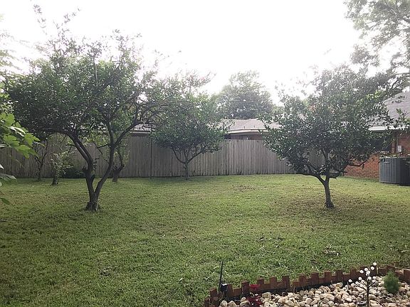 Fruit trees in backyard