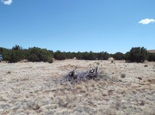 8571 Hill Pl, Show Low, AZ 85901