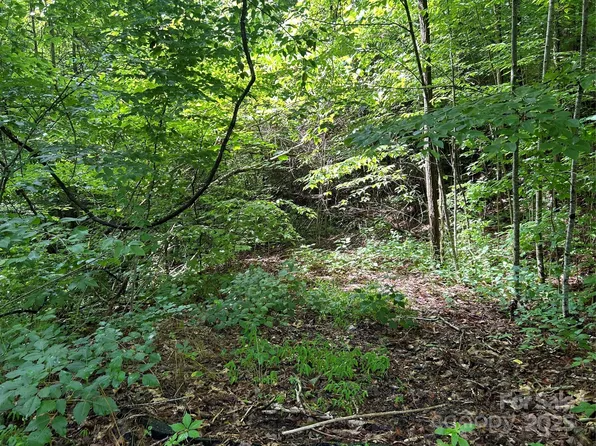 0 Loon Ln Lot 50, Whittier, NC 28789