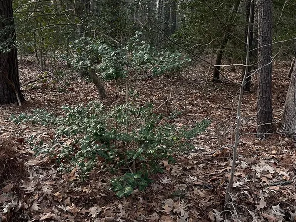 33 Richardson St, Hague, VA 22469