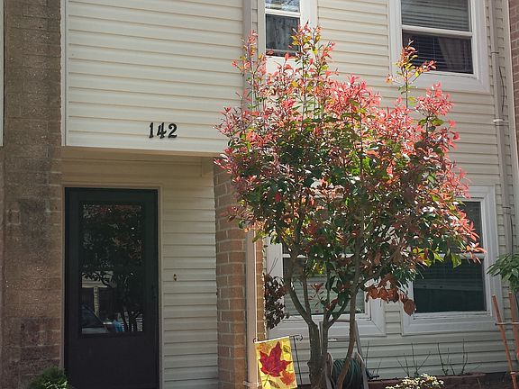 4th image of 142 Tower Dr