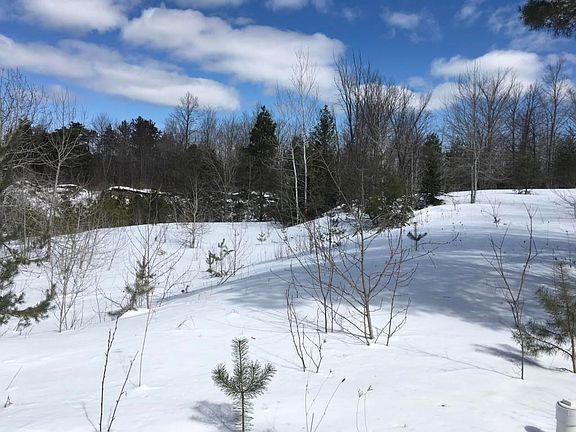 Ridge the deer walk around Hebron Swamp