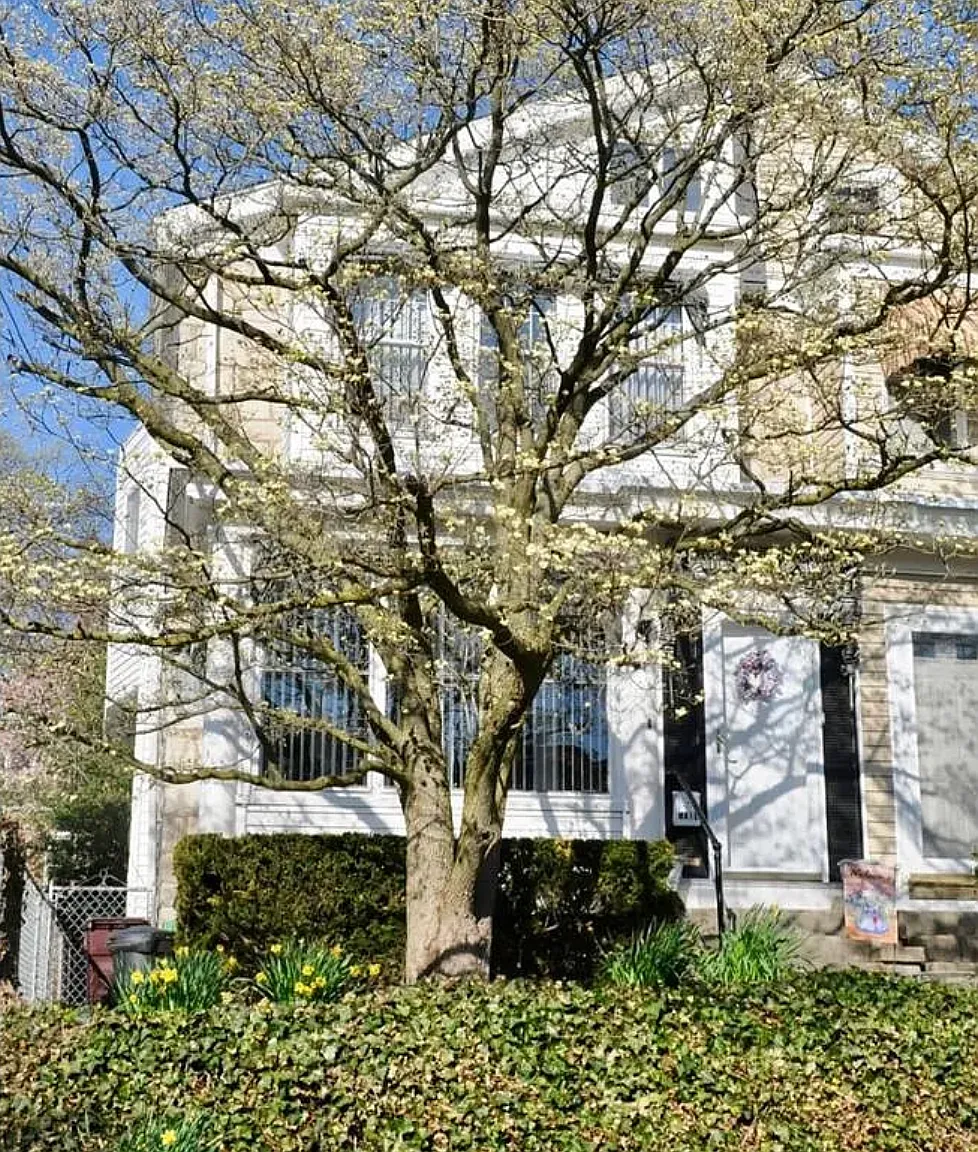 W 19th St, Wilmington — Photo 1