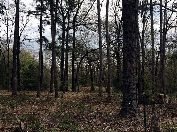3rd image of 000 Fm 115