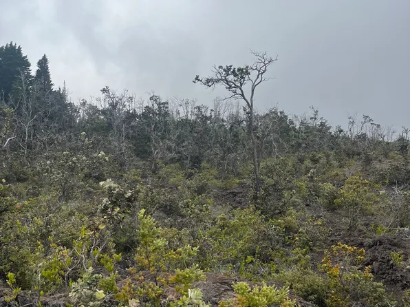 Lot 8, Ocean View, HI 96737