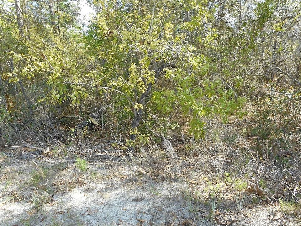 2nd image of 9551 N Akola Way