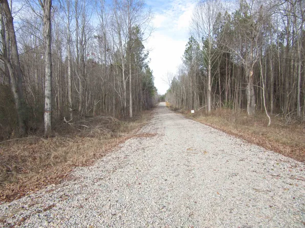 TRACT 4 State Highway 231 Lot 4, Spring Hope, NC 27882