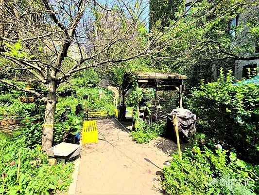 Rented by Alpha Properties NYC I LLC | media 1