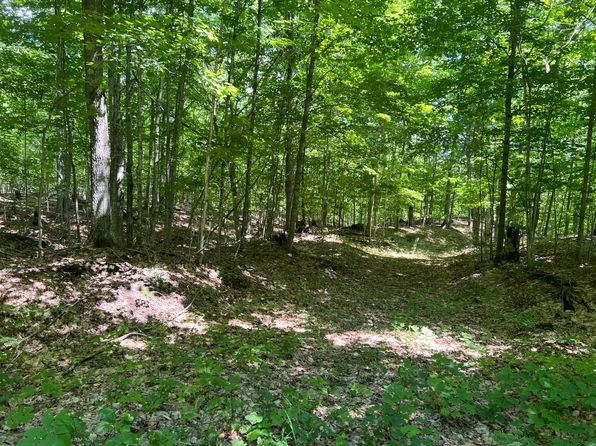 2584 County Road 479, Mc Millan, MI 49853