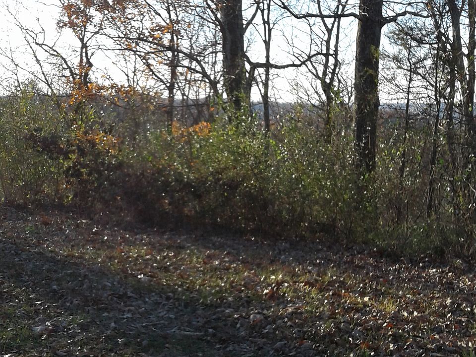 Great view to the West.