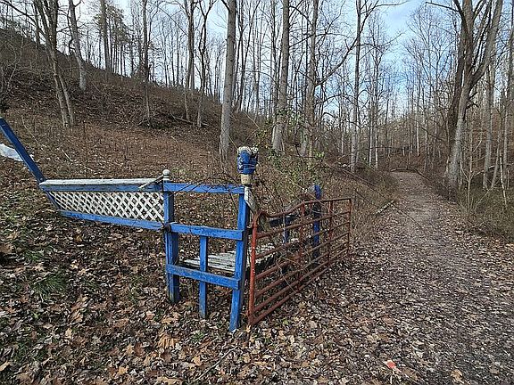 Gate by property line
