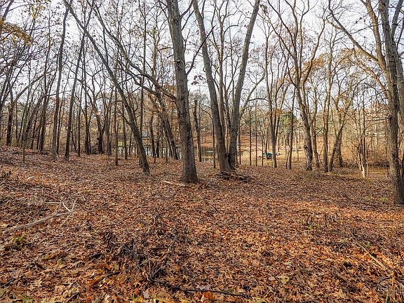 5th image of 9577 Big Rock Dr