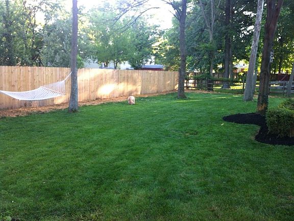 Backyard with privacy fence