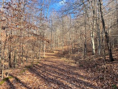 14645 Morehead Rd, Wallingford, KY, 41093