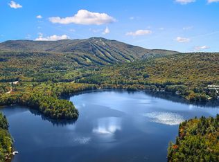 130 Hamel Rd, Sunapee, NH 03782