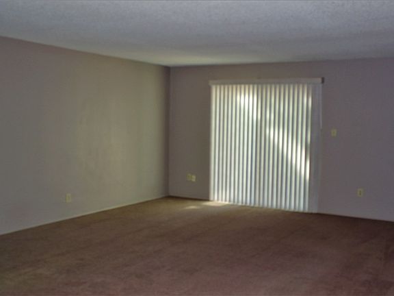 5th image of 1425 E Torrey Pines Cir