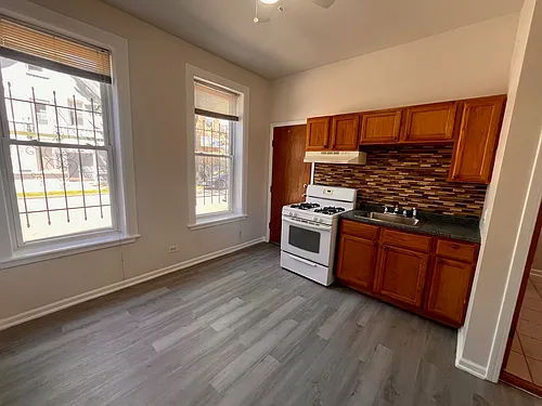 3227 S Carpenter St #1M Photo 1