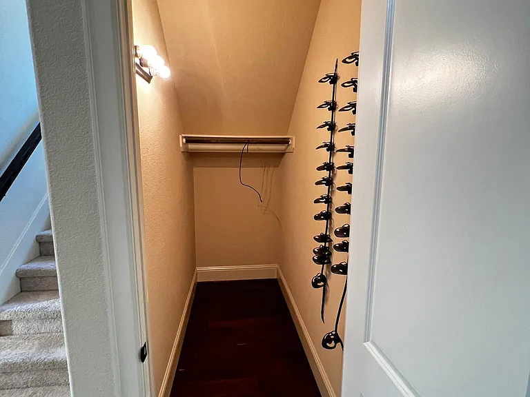 Closet Under Stairs
