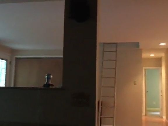 Looking from the den