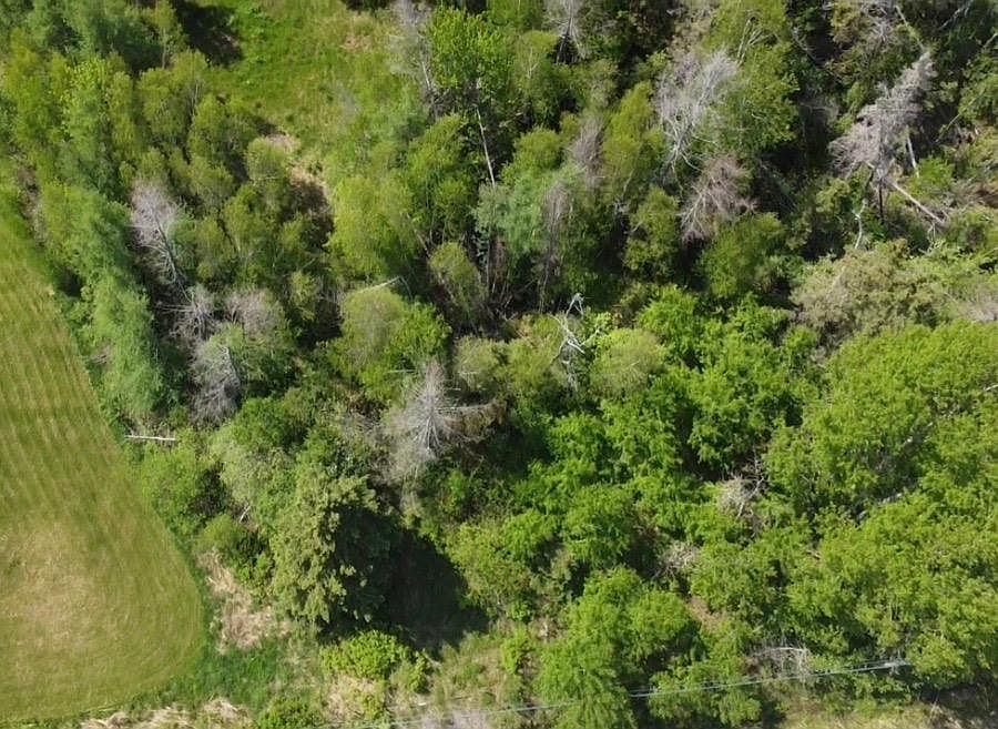 1st image of 6 Trunk Hwy