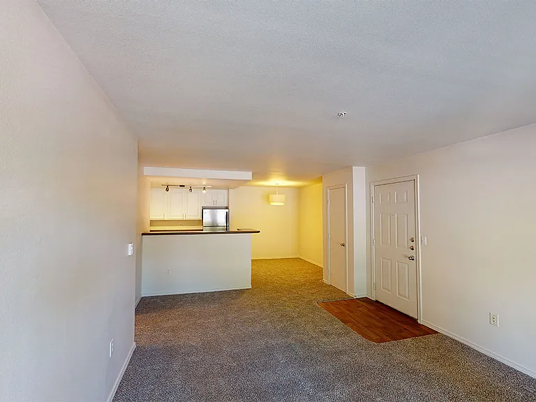 Apartment kitchen with stainless steel appliances in select homes, dining and living room with plush carpet flooring.