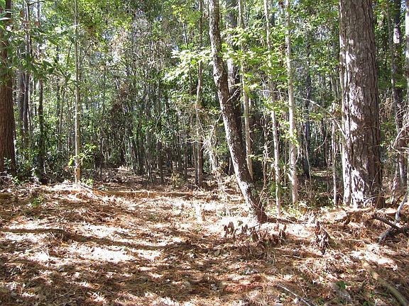 5th image of 367 Cypress Ct NW Lot 118