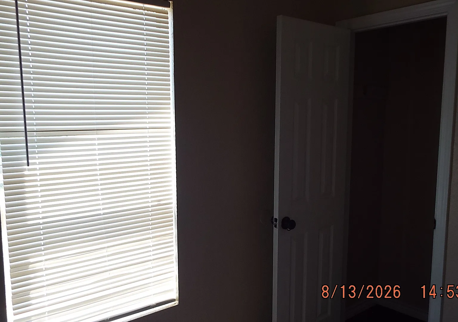 3 bed, $1,395 — Photo 2