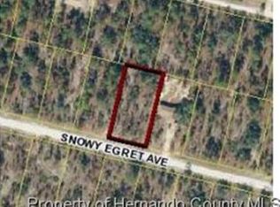 12211 Snowy Egret Ave, Weeki Wachee, FL 34614