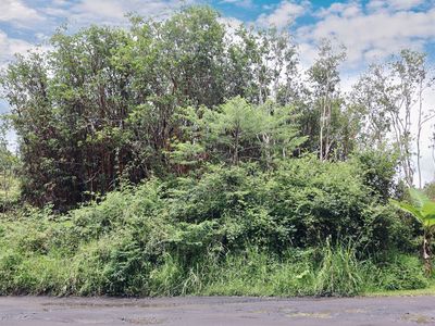 Oahu St, Mountain View, HI, 96771
