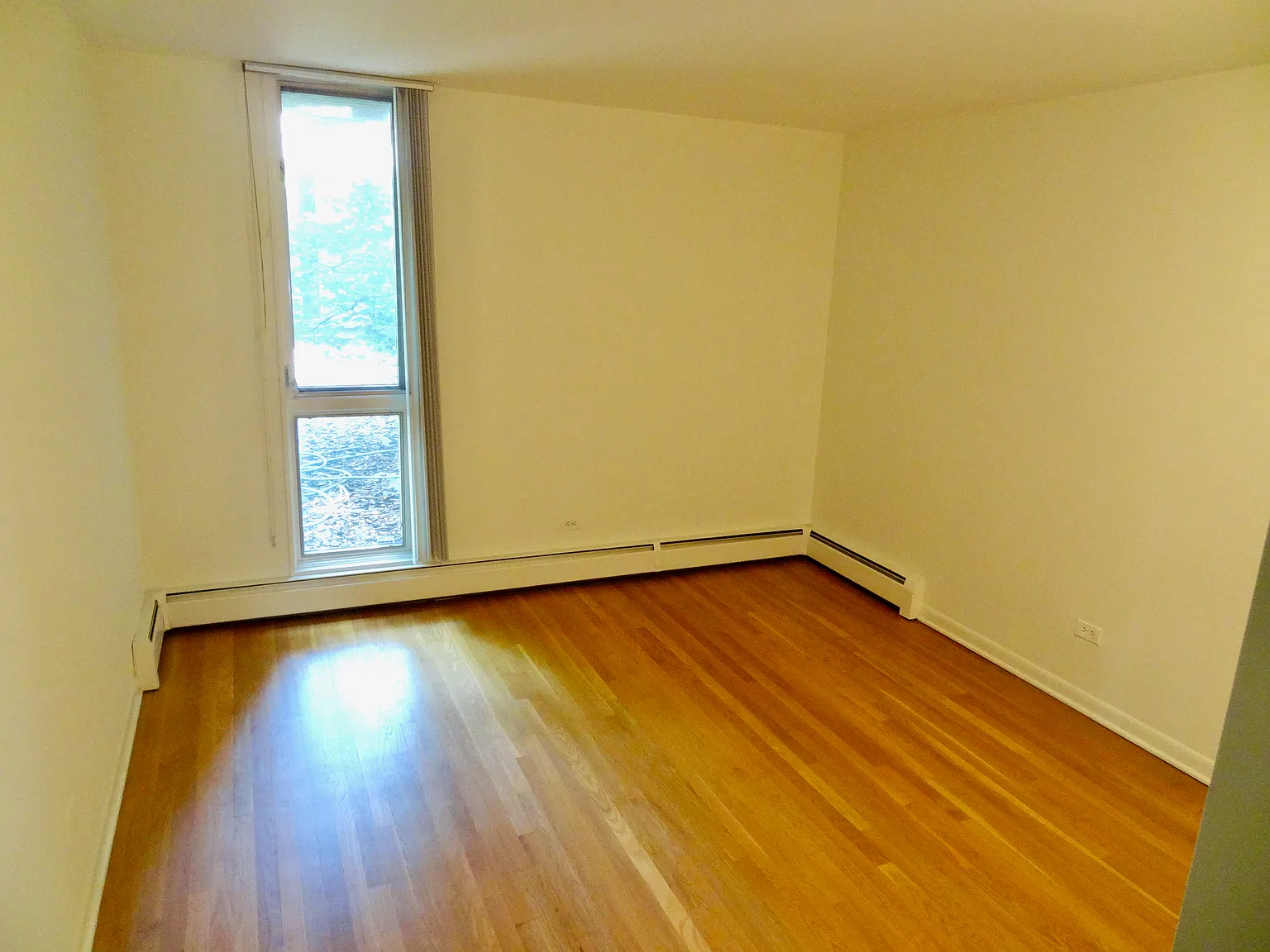 1 bed, 900 sqft, $1,500 — Photo 2
