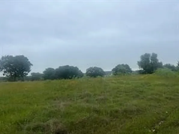 42251 Prestwick Dr, Whitney, TX 76692
