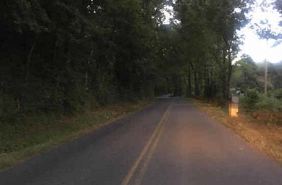 2nd image of 419 Hamilton Dairy Rd