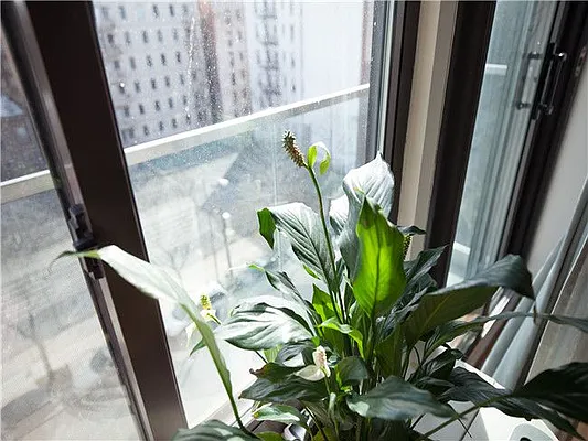 Rented by 18 REALTY | media 72